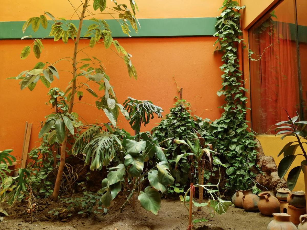 Olas Del Titicaca Backpackers Hostel Copacabana  Exterior photo